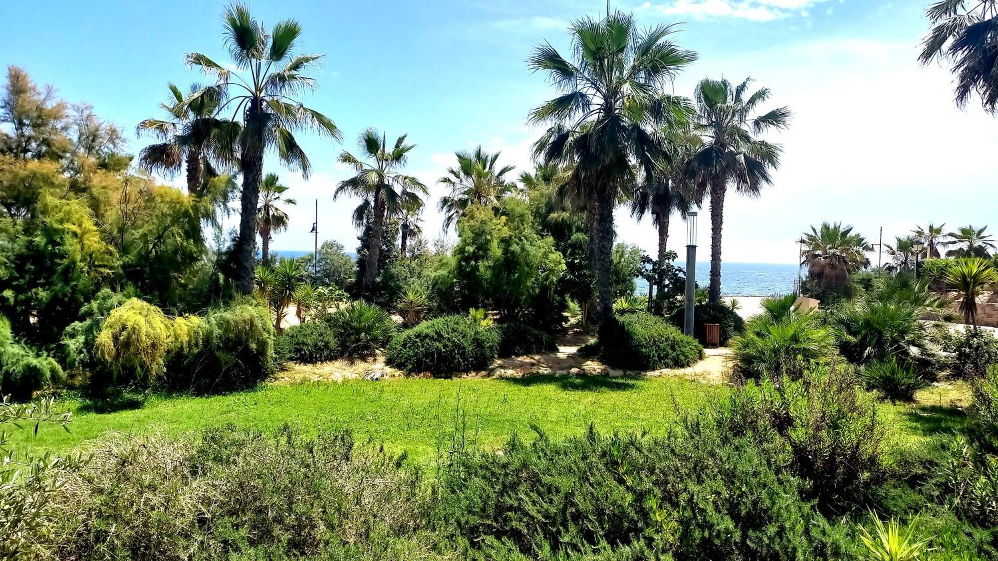 Апартаменты Punta Prima Torrevieja Fantazy01 Экстерьер фото